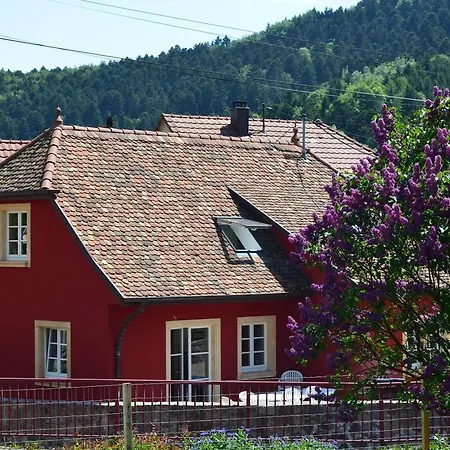 Doller Villa 4 Stars Hot Tub Mountain Ski Ballon D'Alsace Sewen Exterior photo