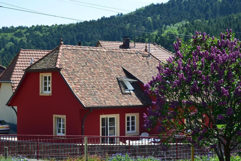 Holiday home Doller 4 Stars Hot Tub Mountain Ballon D'alsace Sewen