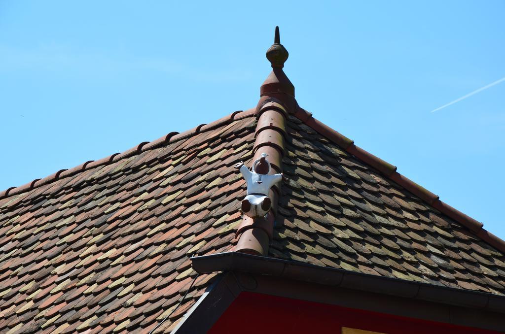Doller 4 Stars Hot Tub Mountain Ballon D'alsace